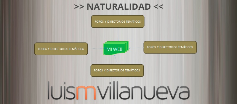 Explicación Linkbuilding en Paraguas - Parte 2